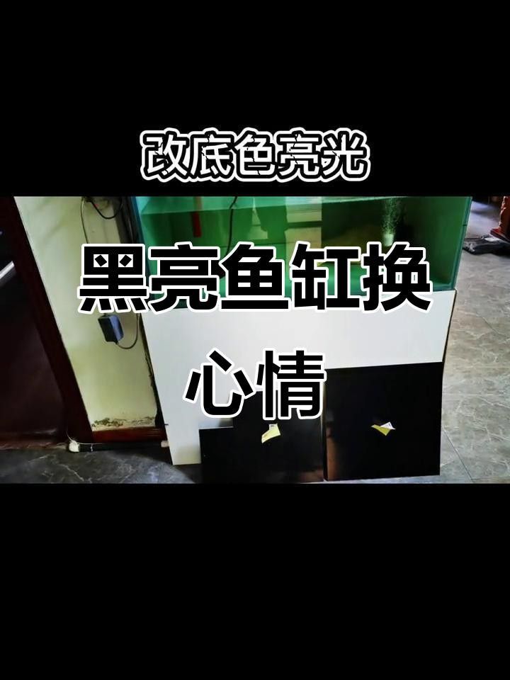 龍魚缸底色更換步驟