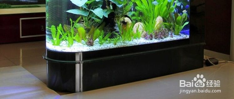 龍魚缸底色更換步驟