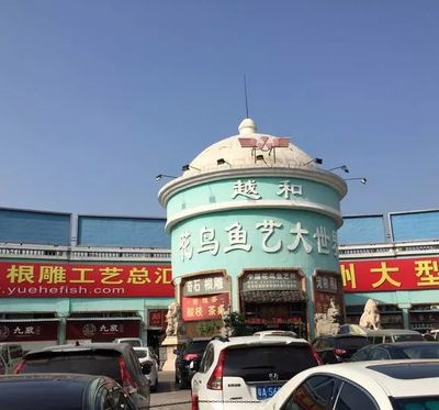 龍魚上門回收多少錢一條：龍魚上門回收多少錢一條觀賞魚回收價格是固定不變的 龍魚上門回收多少錢一條：龍魚上門回收多少錢一條觀賞魚回收價格是固定不變的 龍魚百科 第1張