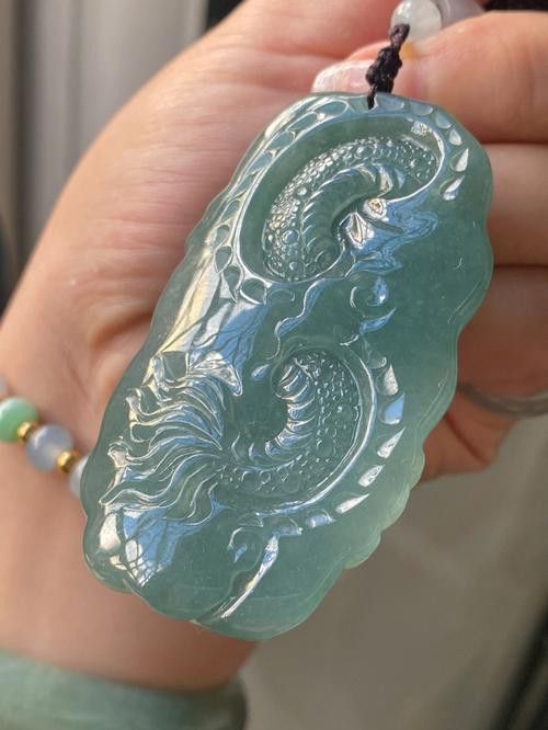 如何保養(yǎng)和清潔龍牌？ 如何保養(yǎng)和清潔龍牌？ 龍魚百科 第4張