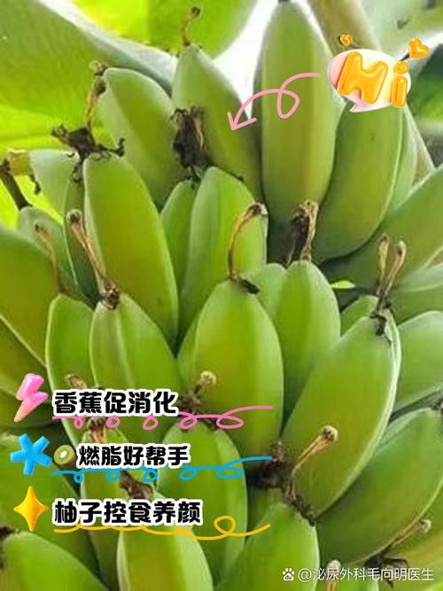哪些水果可以幫助過背金龍消化？