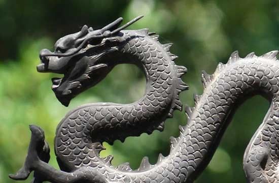 深圳紅龍魚臨時存放地點在哪里（深圳紅龍魚貿易有限公司臨時存放地點） 深圳紅龍魚臨時存放地點在哪里（深圳紅龍魚貿易有限公司臨時存放地點） 龍魚百科 第4張
