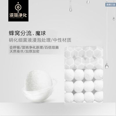 龍魚證書是什么樣子：龍魚證書是什么樣子的龍魚證書是什么樣子的龍魚證書是什么樣子