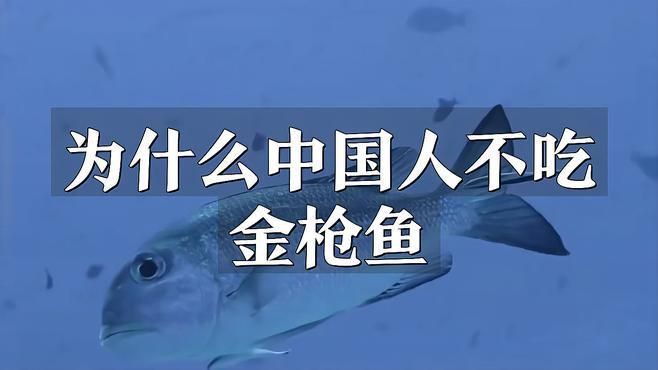 金槍魚盡量少吃的原因 金槍魚盡量少吃的原因 龍魚百科 第5張