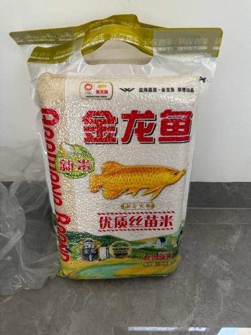 真正金龍魚絲苗米