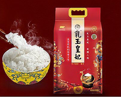 真正金龍魚絲苗米