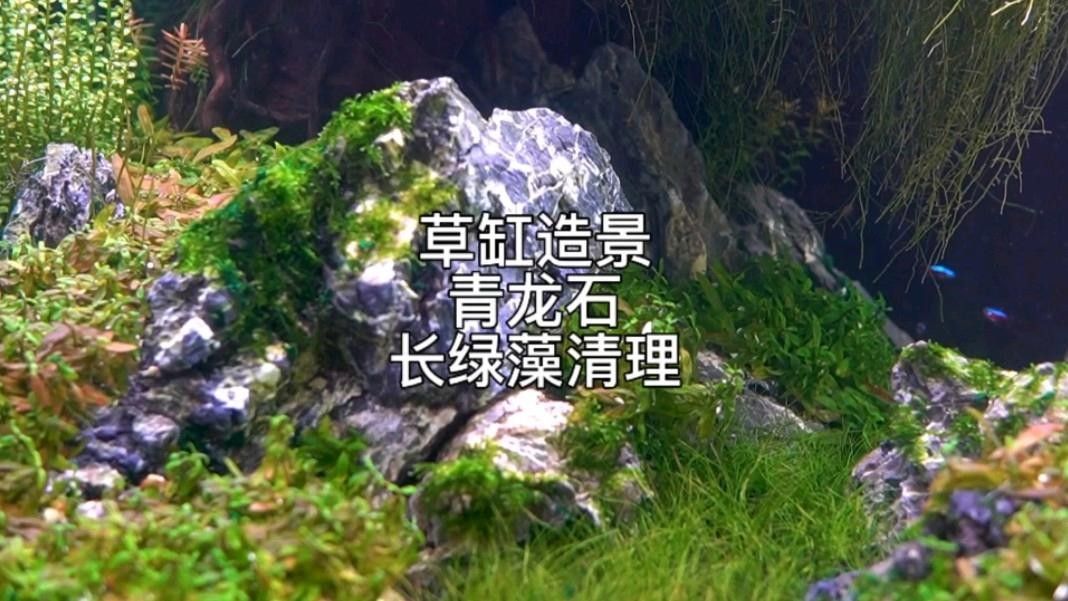 青石龍頭如何保養(yǎng)和維護？