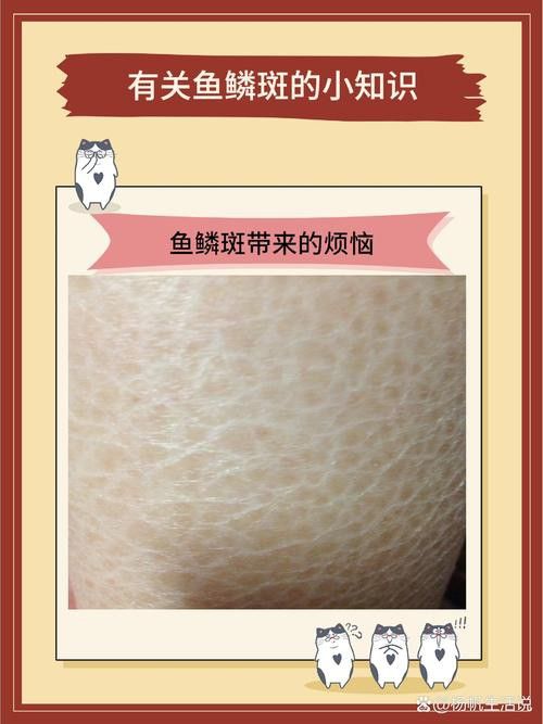過背金龍魚發色階段圖解 過背金龍魚發色階段圖解 龍魚百科 第37張