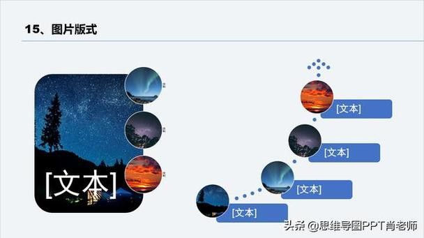 過背金龍魚發色階段圖解 過背金龍魚發色階段圖解 龍魚百科 第47張