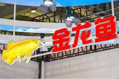 金龍魚養殖基地地址（不同地區的金龍魚養殖基地地址）
