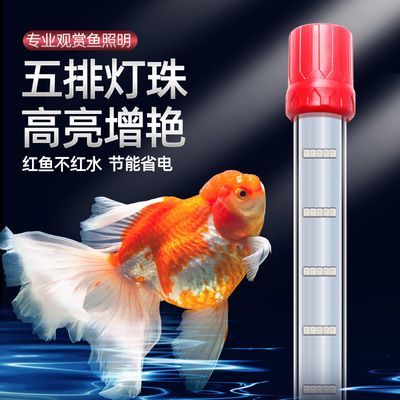 藍底過背金龍用蘭白燈照可以嗎