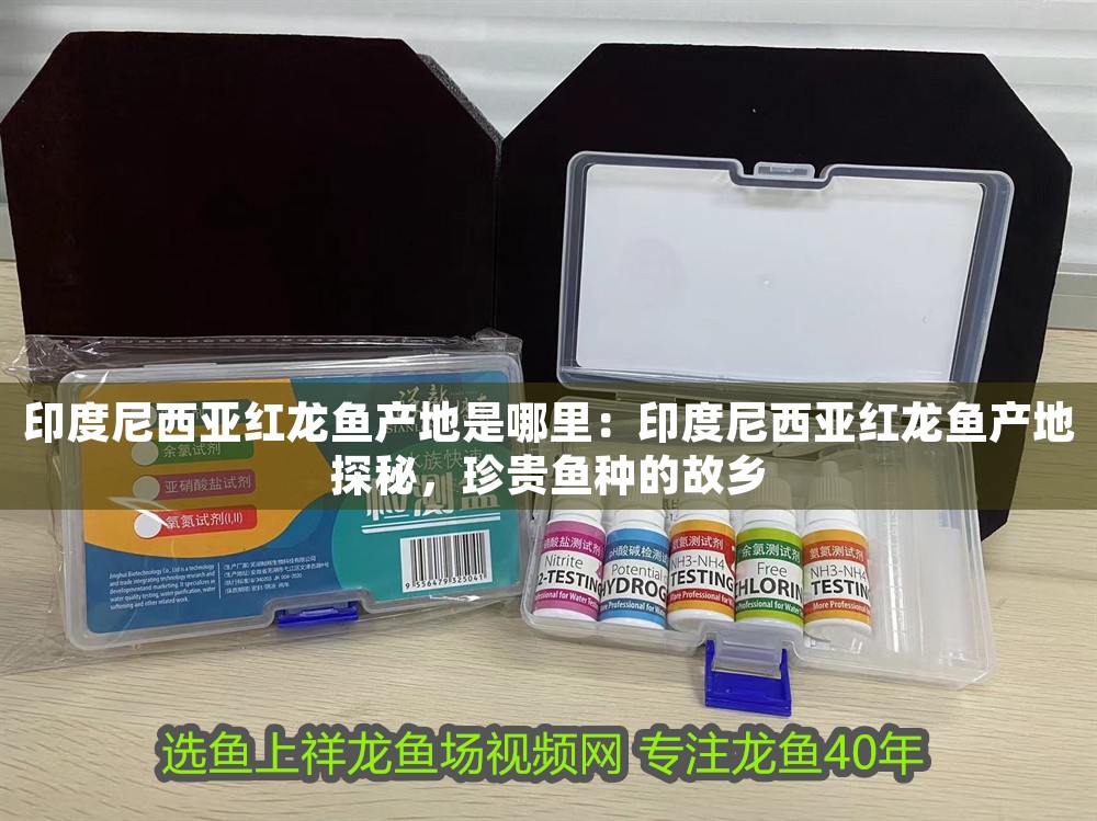 印度尼西亞紅龍魚產地是哪里：印度尼西亞紅龍魚產地探秘，珍貴魚種的故鄉 印度尼西亞紅龍魚產地是哪里：印度尼西亞紅龍魚產地探秘，珍貴魚種的故鄉 龍魚百科 第1張
