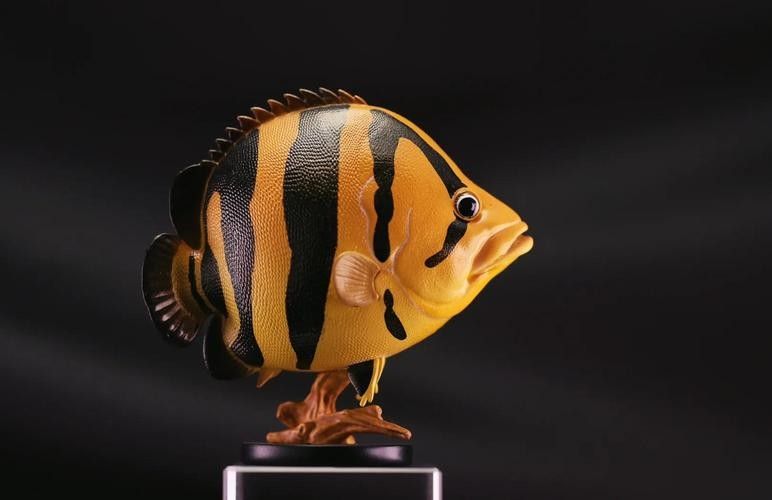 龍魚混養魚推薦圖片大全集 龍魚混養魚推薦圖片大全集 龍魚百科 第1張