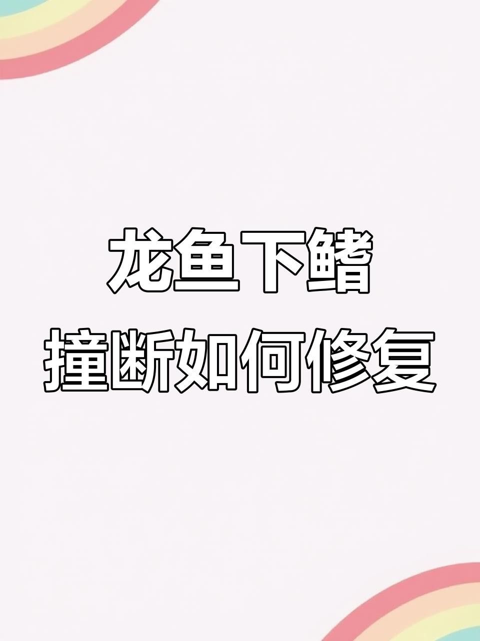 過背金龍魚鰭部受損如何處理？ 過背金龍魚鰭部受損如何處理？ 龍魚百科 第7張