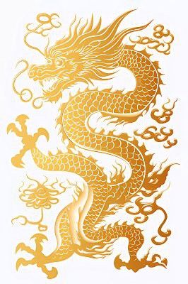有沒有更多金龍高清圖片資源？
