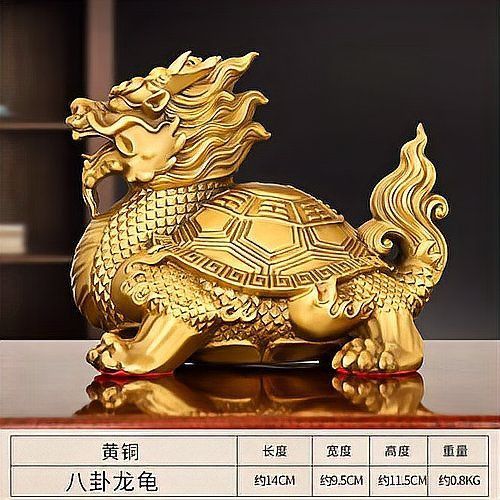 風水上為什么很少用龍龜 龍魚百科 第3張 風水上為什么很少用龍龜 風水上為什么很少用龍龜 龍魚百科 第3張