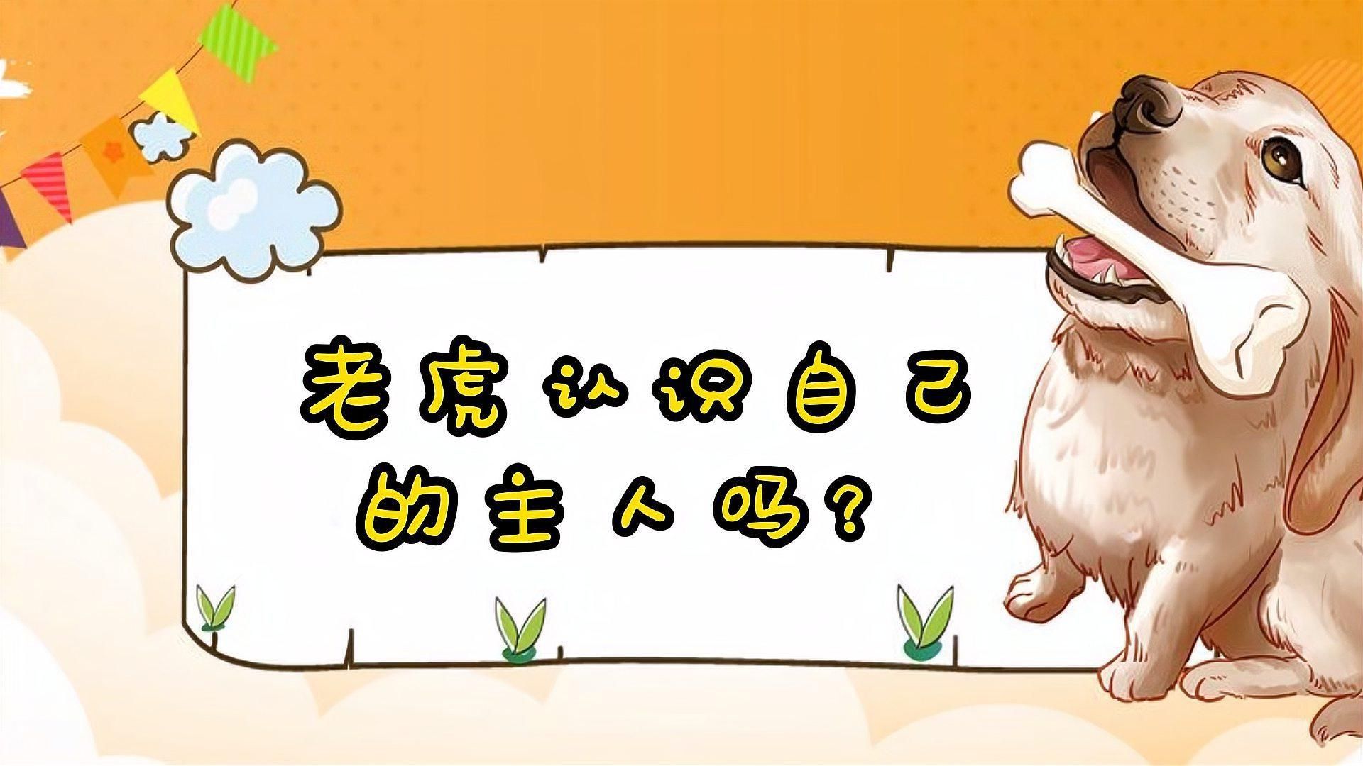 老虎養久了會認主人嗎