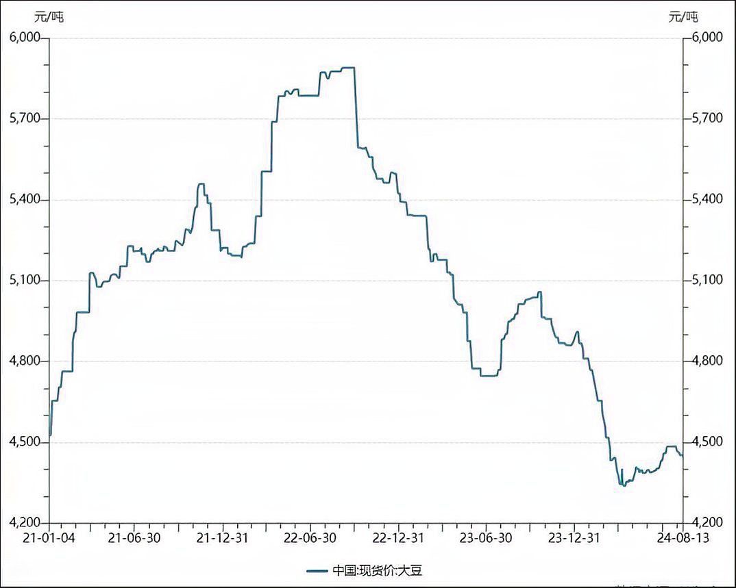 養殖金龍魚利潤是多少 養殖金龍魚利潤是多少 龍魚百科 第3張