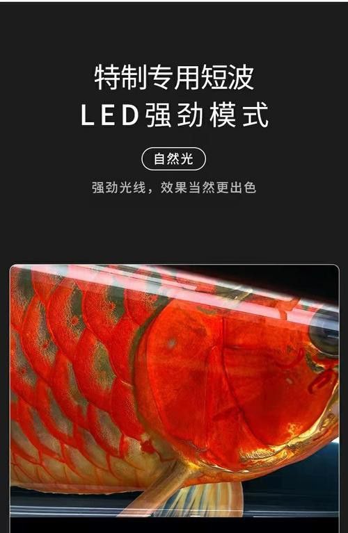 金龍魚(yú)LED燈哪個(gè)品牌最好