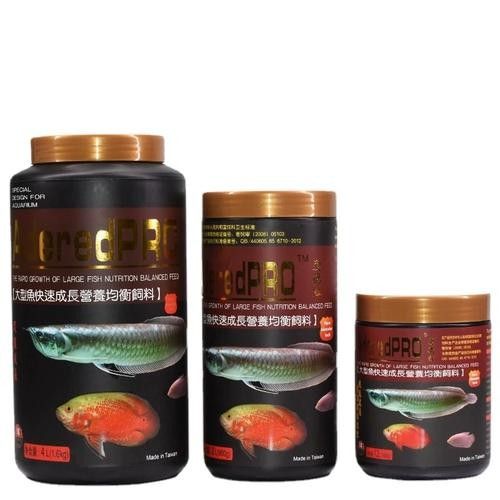鸚鵡魚能和銀龍魚混養嗎圖片欣賞大全 鸚鵡魚能和銀龍魚混養嗎圖片欣賞大全 龍魚百科 第26張