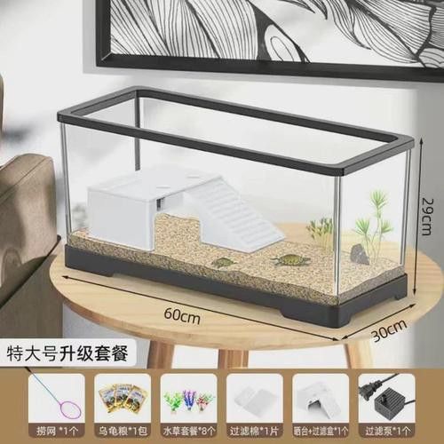 六角恐龍魚怎么養及喂養技巧圖片視頻大全 六角恐龍魚怎么養及喂養技巧圖片視頻大全 龍魚百科 第9張