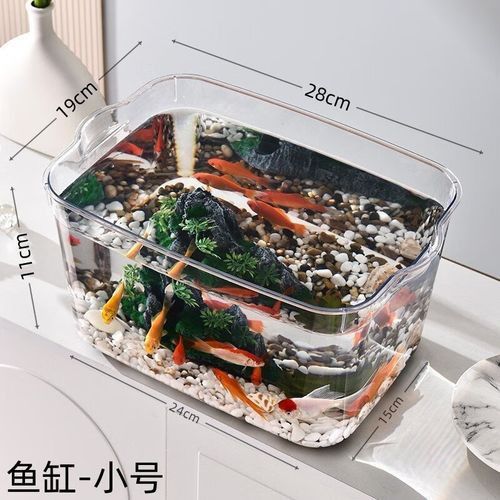 六角恐龍魚怎么養及喂養技巧圖片視頻大全 六角恐龍魚怎么養及喂養技巧圖片視頻大全 龍魚百科 第15張