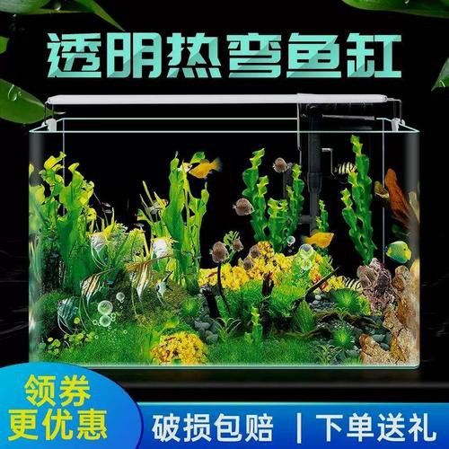 六角恐龍魚怎么養及喂養技巧圖片視頻大全 六角恐龍魚怎么養及喂養技巧圖片視頻大全 龍魚百科 第13張