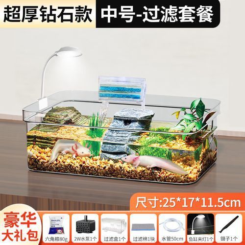 六角恐龍魚怎么養及喂養技巧圖片視頻大全 六角恐龍魚怎么養及喂養技巧圖片視頻大全 龍魚百科 第25張