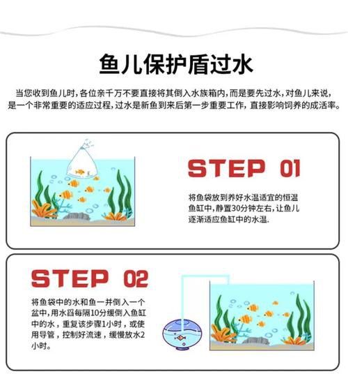 六角恐龍魚怎么養及喂養技巧圖片視頻大全 六角恐龍魚怎么養及喂養技巧圖片視頻大全 龍魚百科 第45張