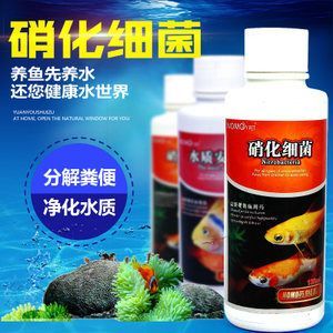 龍魚殺蟲殺菌方法：龍魚殺蟲殺菌方法龍魚殺蟲殺菌方法龍魚殺菌方法 龍魚殺蟲殺菌方法：龍魚殺蟲殺菌方法龍魚殺蟲殺菌方法龍魚殺菌方法 龍魚百科 第1張