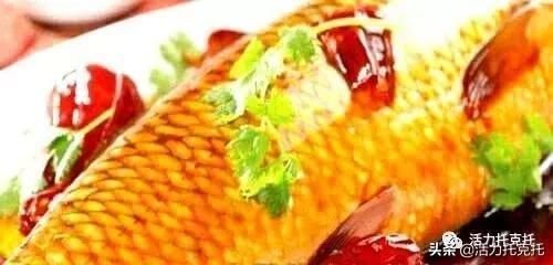 \"大白龍是什么魚\"是什么魚\"：\"大白龍\"這個名稱可以指代幾種不同的魚類 \"大白龍是什么魚\"是什么魚\"：\"大白龍\"這個名稱可以指代幾種不同的魚類 龍魚百科 第1張