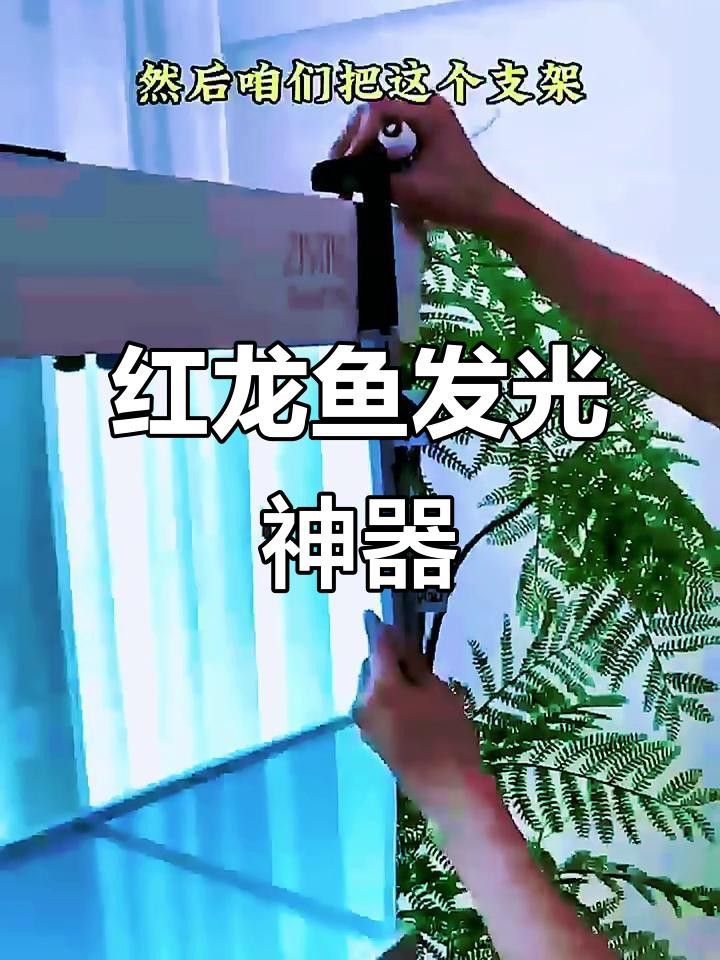 如何安裝龍魚夜燈