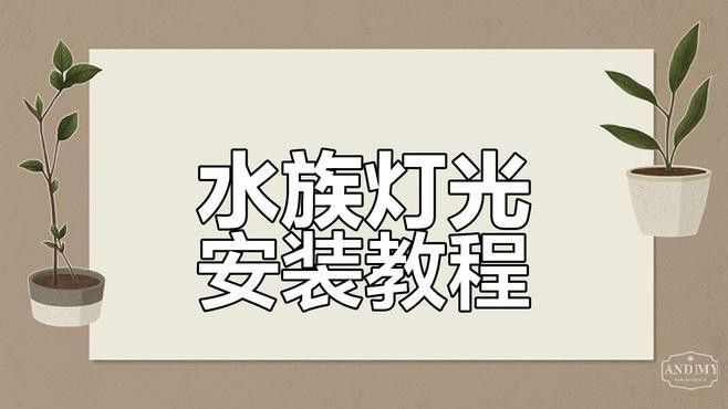 如何安裝龍魚夜燈