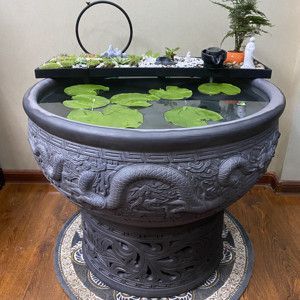 大型龍魚缸效果圖的搜索結果：大型龍魚缸效果圖搜索結果 大型龍魚缸效果圖的搜索結果：大型龍魚缸效果圖搜索結果 龍魚百科 第2張