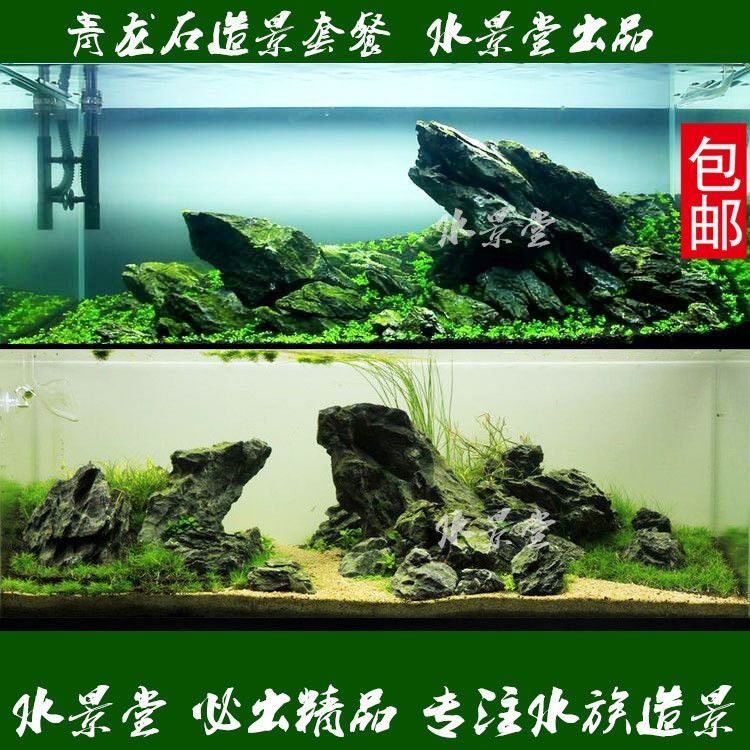 龍魚缸養(yǎng)什么水草好：適合在龍魚缸中養(yǎng)殖的幾種水草