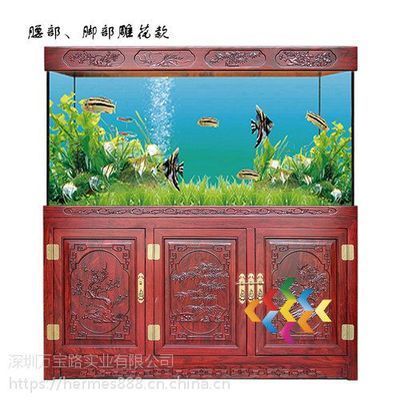 龍魚缸養(yǎng)什么水草好：適合在龍魚缸中養(yǎng)殖的幾種水草