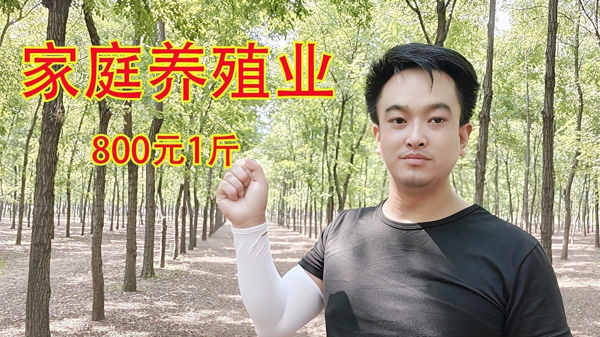 蜈蚣喂食量應(yīng)該如何控制？ 蜈蚣喂食量應(yīng)該如何控制？ 龍魚百科 第1張