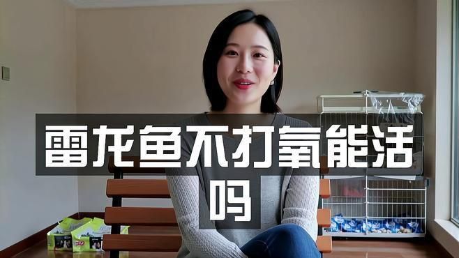 雷龍魚需要打氧嗎