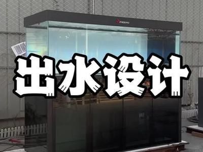 龍魚缸出水口最佳位置：龍魚缸出水口的最佳位置