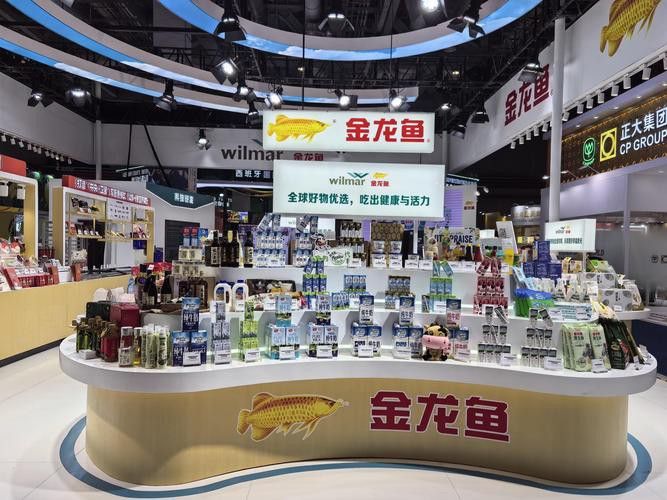 <strong><mark>六安</mark></strong>金龍魚代理在哪里做好