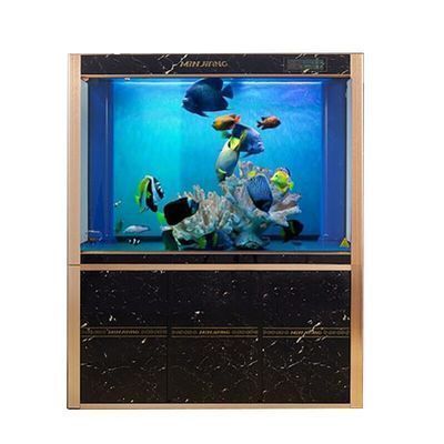 金龍魚白缸養還是黑缸養好呢