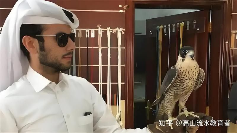 鉆石眼龍魚值錢嗎知乎
