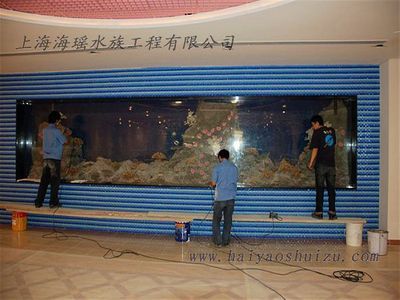 養紅龍魚用什么顏色燈最好看視頻講解（養紅龍魚用什么顏色燈最好看視頻講解一下）