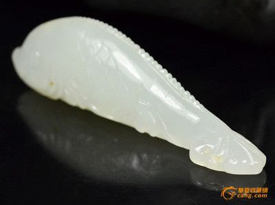 白玉金龍魚風水作用與禁忌：養金龍魚的風水講究