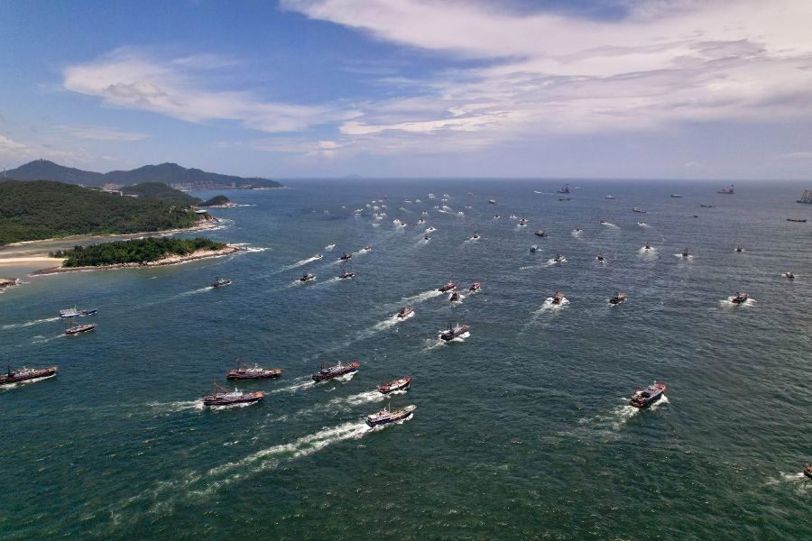龍躉和石斑魚有什么區(qū)別？