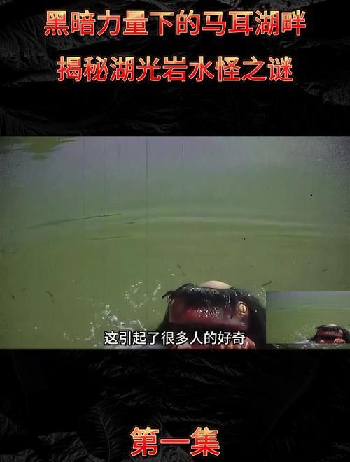 湛江水怪龍魚 湛江水怪龍魚 龍魚百科 第6張