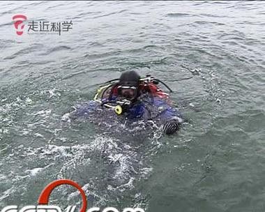 湛江水怪龍魚 湛江水怪龍魚 龍魚百科 第5張