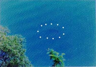 湛江水怪龍魚 湛江水怪龍魚 龍魚百科 第4張