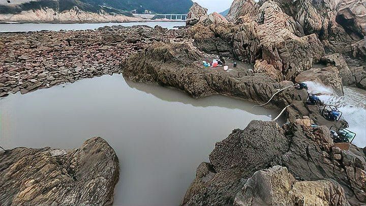 黑龍魚長大了什么樣圖片欣賞 黑龍魚長大了什么樣圖片欣賞 龍魚百科 第17張