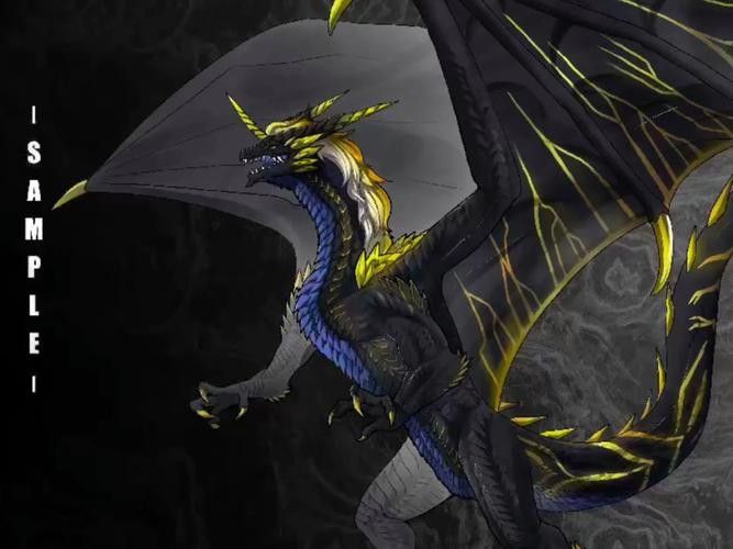 黑龍魚長大了什么樣圖片欣賞 龍魚百科 第13張 黑龍魚長大了什么樣圖片欣賞 黑龍魚長大了什么樣圖片欣賞 龍魚百科 第13張